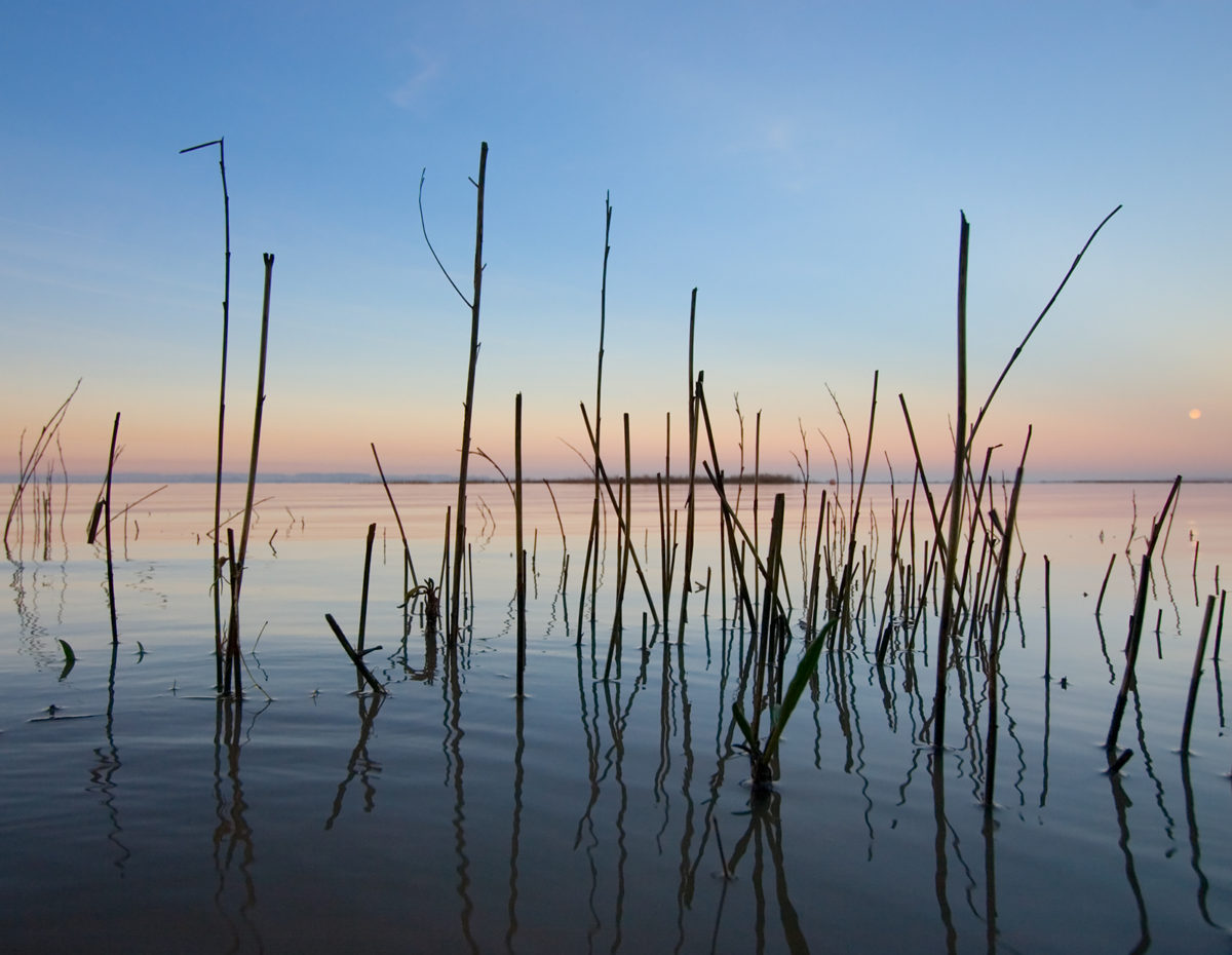Buy wall art of the River Humber at Brough Foreshore